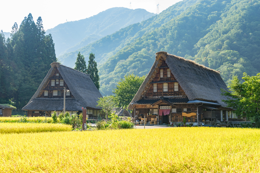 Japanese travelers stopping by a historic town or village in Japan while traveling account for 32%