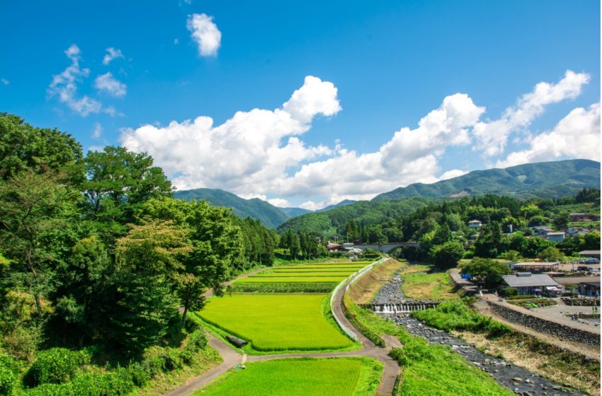  農水省、農泊のワーケーション整備の助成も