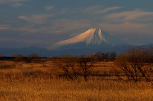  栃木県・小山市、移住支援金最大100万円支給、東京から移住＆対象求人に就職で