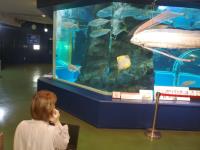  富山県・魚津市で、水族館でのワーケーションを開始