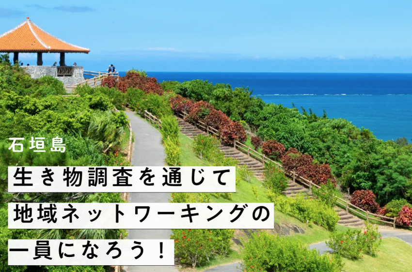  沖縄県・石垣市、ワーケーションプログラム開催、2025年1月25～28日