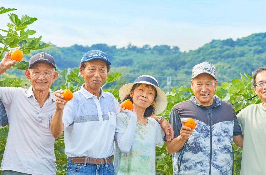  和歌山県・紀の川市、無料で参加できる1週間のお試し農村ぐらし、参加者募集