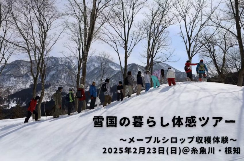  新潟県・糸魚川市、移住検討者向けに「雪国暮らし体感ツアー」を開催、2/23