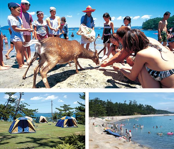  鹿児島県・阿久根市、地域おこし協力隊を1名募集