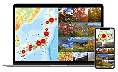 紅葉シーズン到来に合わせ、リアルタイムに紅葉状況がわかるサービスが登場