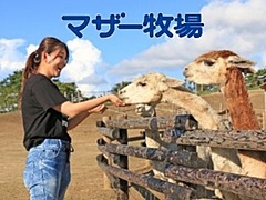 千葉県・マザー牧場に宿泊できるグランピング施設、ザファームのフランチャイズ第1号、2021年前半に開業へ