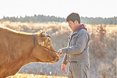 熊本県・黒川温泉、「あか牛ファンド」設立、食べることで草原を維持する資源循環、1食50円を寄付