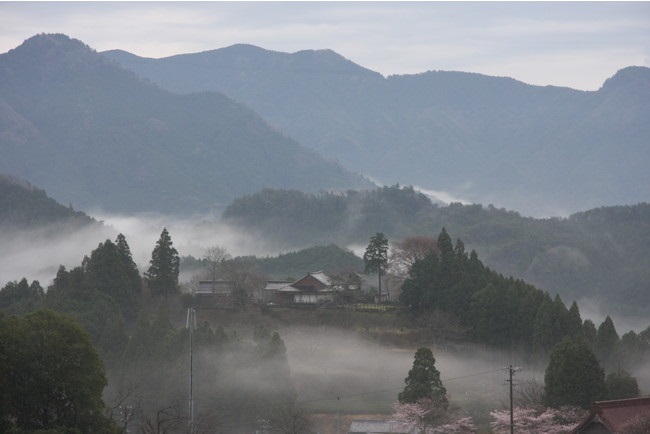 愛知県・設楽観光協会、正月限定のお城版の御朱印「御城印」を実施、長江城など10城で｜トラベルボイス（観光産業ニュース）