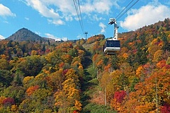 北海道・富良野スキー場、愛犬と乗車できる紅葉ロープウェイ運行、10月16日まで、山頂にはドッグラン