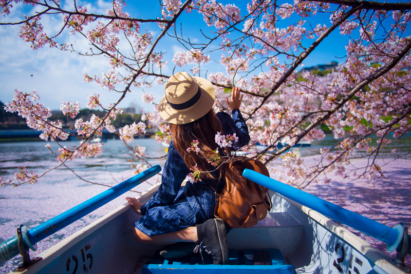 桜開花予想2023、桜の開花は平年並み多く、上野公園は3月21日、北海道