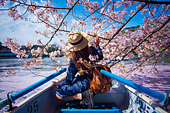 桜開花予想2023、桜の開花は平年並み多く、上野公園は3月21日、北海道・五稜郭公園は4月23日