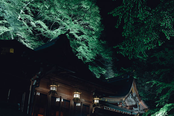 京都・貴船神社が新緑ライトアップ、ゴールデンウィークの3日間限定