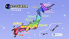 ウェザーニューズ社、「ホタル」の出現時期を予測、近くの鑑賞地探し、全国のスポット情報を発信