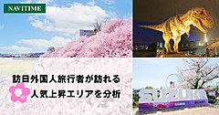 NAVITIME JAPAN data show that inbound travelers’ visits in Minami Ashigara, Kanagawa skyrocketed by 32 times in the spring 2024 due to early bloomer cherry