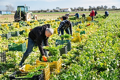 農泊ビジネスの可能性と知っておきたい法的留意点、農泊版DMOへの期待から運営者が責任を負う範囲まで、弁護士が解説【コラム】　