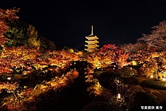 Private tours to three famous temples in Kyoto are available for limited guests in HOTEL THE MITSUI KYOTO at 400,000 yen 