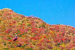 長崎県・雲仙仁田峠、11月の連休に事前予約とパークアンドライド導入、紅葉シーズンの渋滞緩和へ